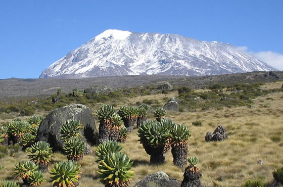 Mount Kilimanjaro National Park
